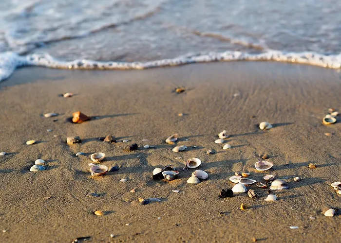 In 38251 Appartement *